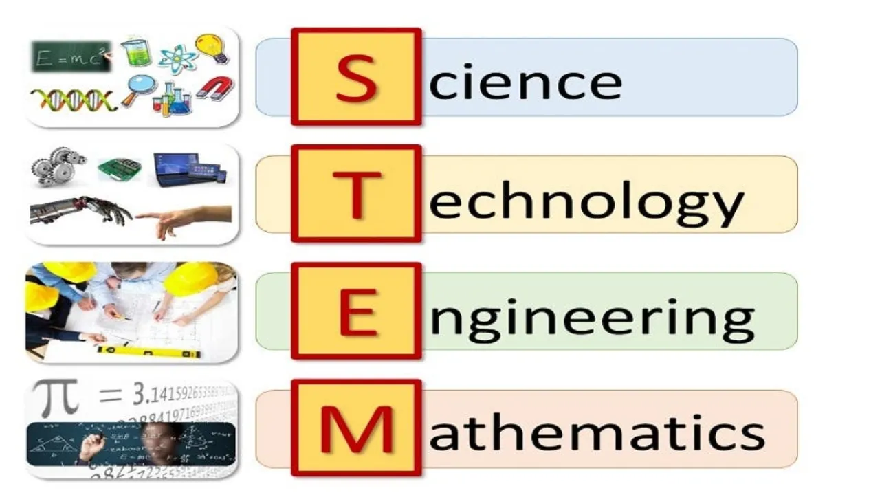 Role of Coding and STEM in Schools